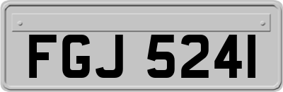 FGJ5241