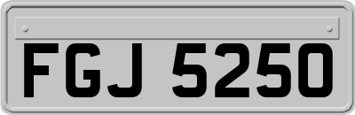 FGJ5250