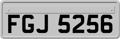 FGJ5256
