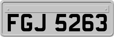 FGJ5263