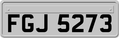 FGJ5273