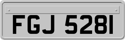 FGJ5281