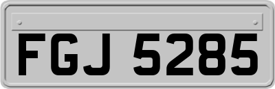 FGJ5285