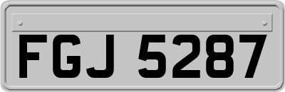 FGJ5287