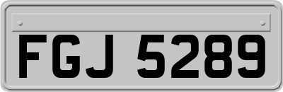 FGJ5289