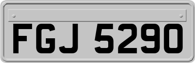 FGJ5290