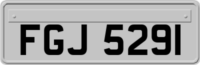 FGJ5291