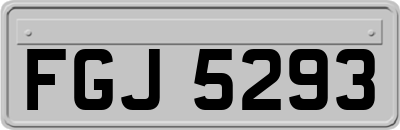 FGJ5293