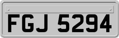 FGJ5294