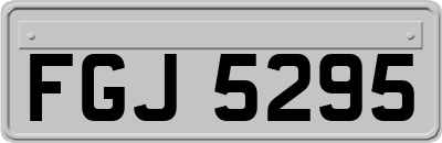 FGJ5295