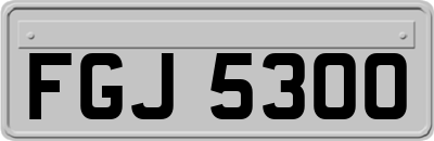 FGJ5300