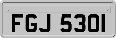 FGJ5301