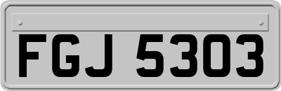 FGJ5303