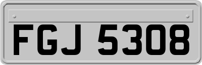 FGJ5308