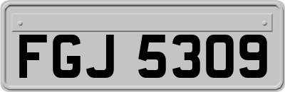 FGJ5309