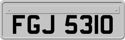 FGJ5310