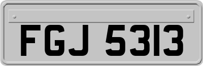 FGJ5313