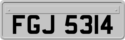 FGJ5314