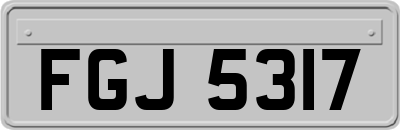FGJ5317