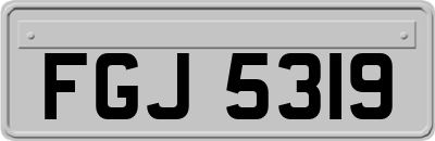 FGJ5319
