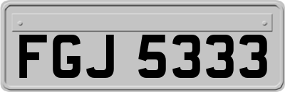 FGJ5333