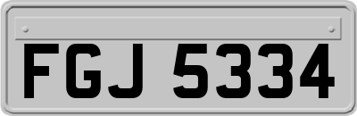 FGJ5334