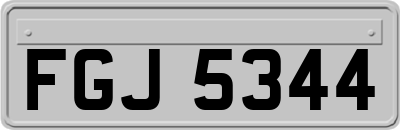 FGJ5344