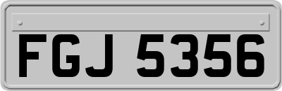 FGJ5356