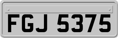 FGJ5375