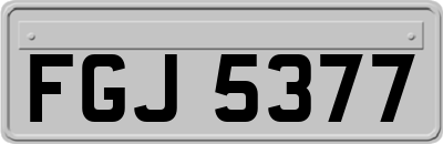 FGJ5377