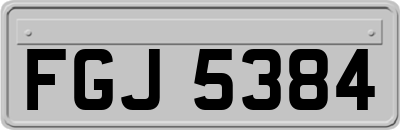 FGJ5384