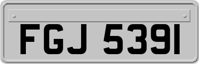 FGJ5391