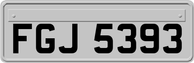 FGJ5393