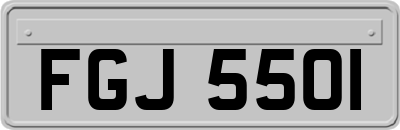 FGJ5501