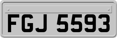 FGJ5593