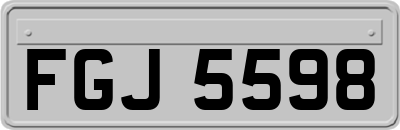 FGJ5598