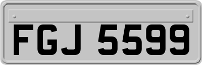 FGJ5599