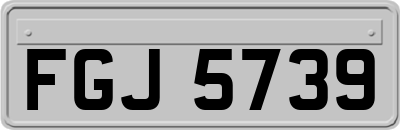 FGJ5739