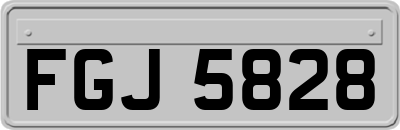 FGJ5828