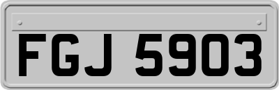 FGJ5903
