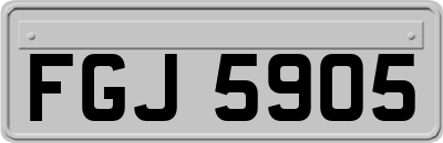 FGJ5905