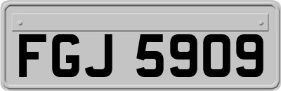 FGJ5909