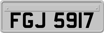 FGJ5917