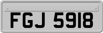 FGJ5918