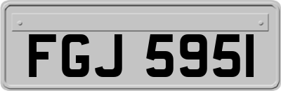 FGJ5951