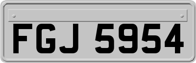 FGJ5954