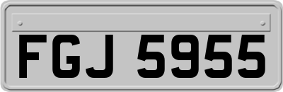 FGJ5955