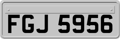 FGJ5956