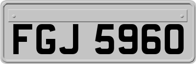 FGJ5960