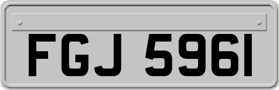 FGJ5961